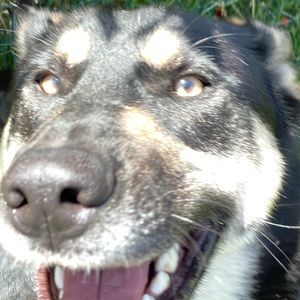 Meet your Posher, Ronald